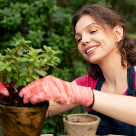 Soil Rejuvenation