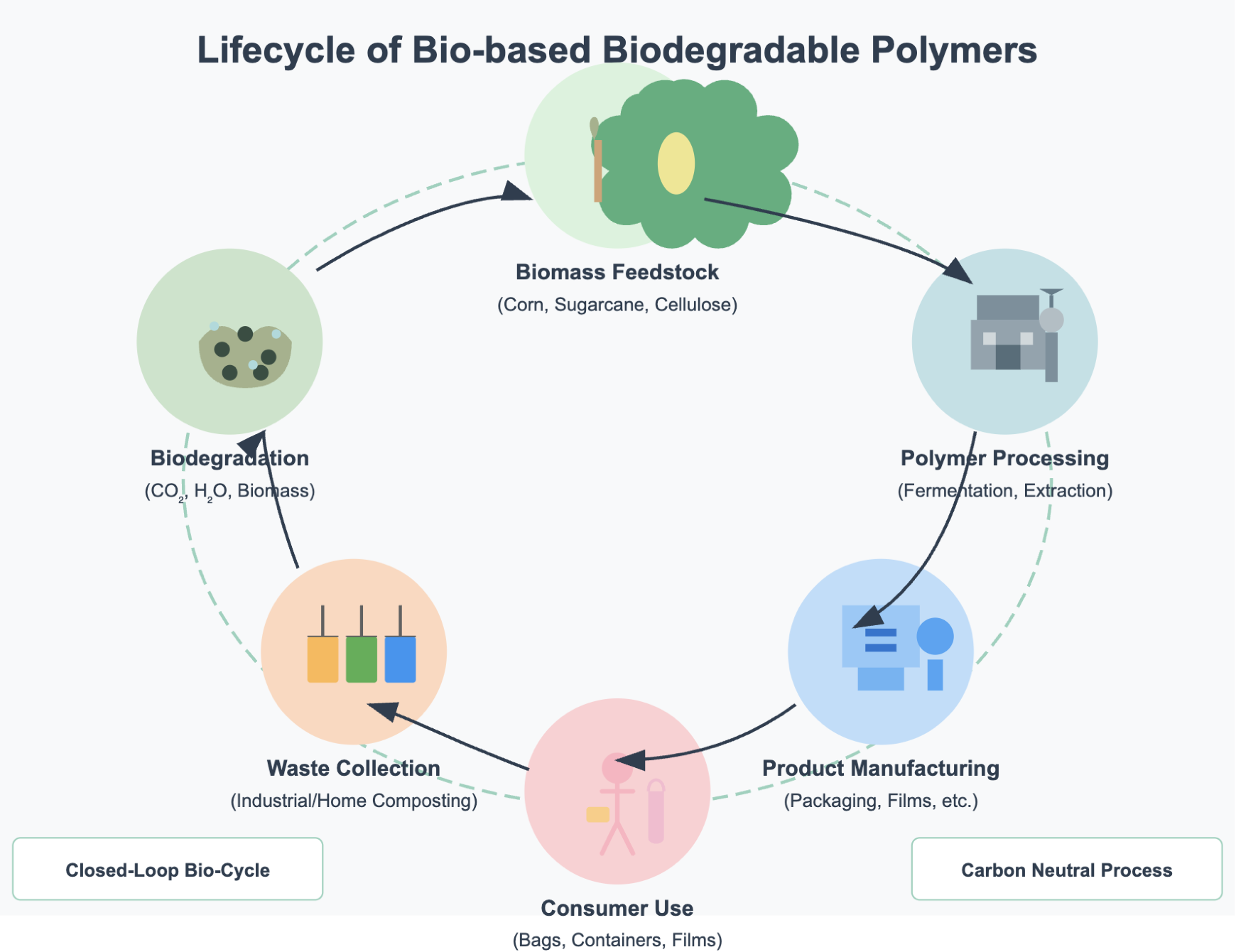 Polymers Lifecycle Chart
