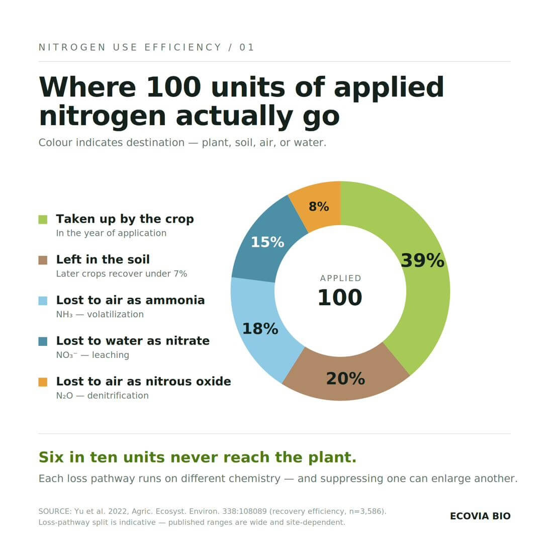 Figure 1. Where 100 units of applied nitrogen go