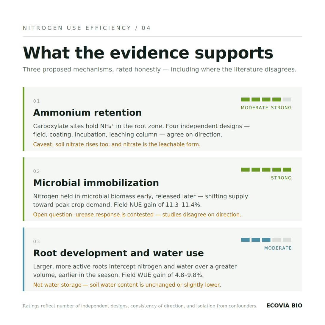 Figure 4. Three mechanisms and the strength of evidence for each